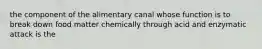 the component of the alimentary canal whose function is to break down food matter chemically through acid and enzymatic attack is the