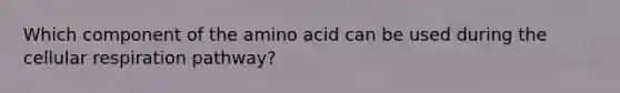 Which component of the amino acid can be used during the <a href='https://www.questionai.com/knowledge/k1IqNYBAJw-cellular-respiration' class='anchor-knowledge'>cellular respiration</a> pathway?