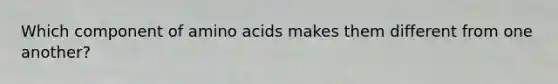 Which component of amino acids makes them different from one another?