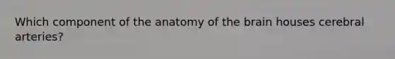 Which component of the anatomy of the brain houses cerebral arteries?