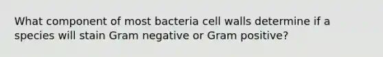 What component of most bacteria cell walls determine if a species will stain Gram negative or Gram positive?