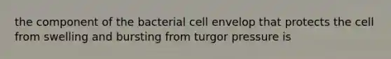 the component of the bacterial cell envelop that protects the cell from swelling and bursting from turgor pressure is