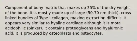 Component of bony matrix that makes up 35% of the dry weight of the bone. It is mostly made up of large (50-70 nm thick), cross linked bundles of Type I collagen, making extraction difficult. It appears very similar to hyaline cartilage although it is more acidophilic (pinker). It contains proteoglycans and hyaluronic acid. It is produced by osteoblasts and osteocytes.