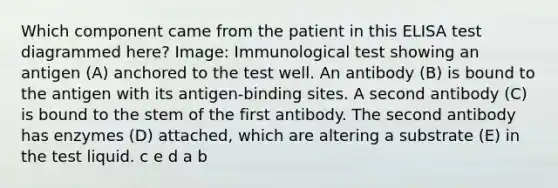 Which component came from the patient in this ELISA test diagrammed here? Image: Immunological test showing an antigen (A) anchored to the test well. An antibody (B) is bound to the antigen with its antigen-binding sites. A second antibody (C) is bound to the stem of the first antibody. The second antibody has enzymes (D) attached, which are altering a substrate (E) in the test liquid. c e d a b