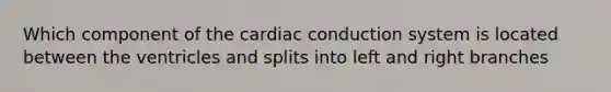 Which component of the cardiac conduction system is located between the ventricles and splits into left and right branches