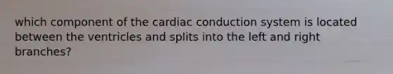 which component of the cardiac conduction system is located between the ventricles and splits into the left and right branches?