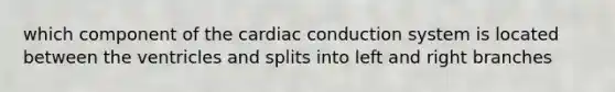 which component of the cardiac conduction system is located between the ventricles and splits into left and right branches