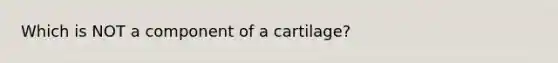 Which is NOT a component of a cartilage?