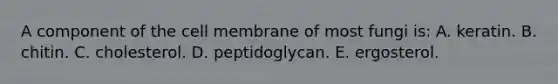 A component of the cell membrane of most fungi is: A. keratin. B. chitin. C. cholesterol. D. peptidoglycan. E. ergosterol.