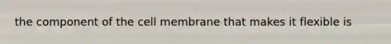 the component of the cell membrane that makes it flexible is