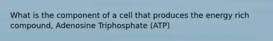 What is the component of a cell that produces the energy rich compound, Adenosine Triphosphate (ATP)