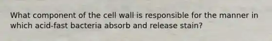 What component of the cell wall is responsible for the manner in which acid-fast bacteria absorb and release stain?