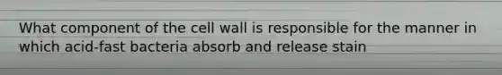 What component of the cell wall is responsible for the manner in which acid-fast bacteria absorb and release stain