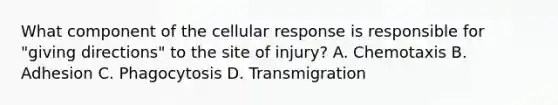 What component of the cellular response is responsible for "giving directions" to the site of injury? A. Chemotaxis B. Adhesion C. Phagocytosis D. Transmigration