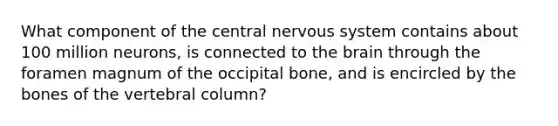 What component of the central nervous system contains about 100 million neurons, is connected to the brain through the foramen magnum of the occipital bone, and is encircled by the bones of the vertebral column?