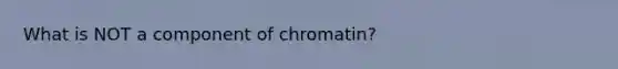 What is NOT a component of chromatin?