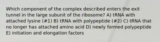 Which component of the complex described enters the exit tunnel in the large subunit of the ribosome? A) tRNA with attached lysine (#1) B) tRNA with polypeptide (#2) C) tRNA that no longer has attached amino acid D) newly formed polypeptide E) initiation and elongation factors