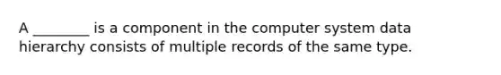 A​ ________ is a component in the computer system data hierarchy consists of multiple records of the same type.