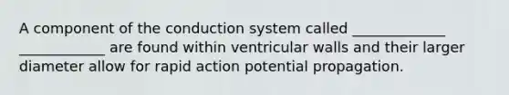 A component of the conduction system called _____________ ____________ are found within ventricular walls and their larger diameter allow for rapid action potential propagation.