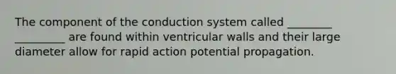 The component of the conduction system called ________ _________ are found within ventricular walls and their large diameter allow for rapid action potential propagation.