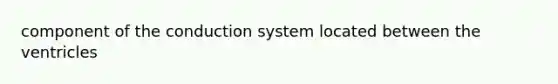 component of the conduction system located between the ventricles