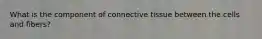 What is the component of connective tissue between the cells and fibers?