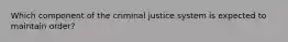 Which component of the criminal justice system is expected to maintain order?