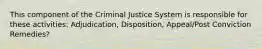 This component of the Criminal Justice System is responsible for these activities: Adjudication, Disposition, Appeal/Post Conviction Remedies?