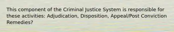 This component of the Criminal Justice System is responsible for these activities: Adjudication, Disposition, Appeal/Post Conviction Remedies?