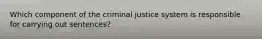 Which component of the criminal justice system is responsible for carrying out sentences?