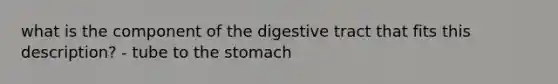 what is the component of the digestive tract that fits this description? - tube to the stomach