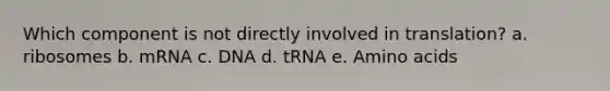 Which component is not directly involved in translation? a. ribosomes b. mRNA c. DNA d. tRNA e. Amino acids