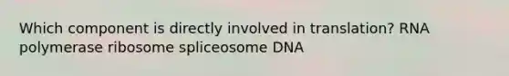 Which component is directly involved in translation? RNA polymerase ribosome spliceosome DNA