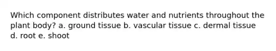 Which component distributes water and nutrients throughout the plant body? a. <a href='https://www.questionai.com/knowledge/kb0kKBaH0H-ground-tissue' class='anchor-knowledge'>ground tissue</a> b. <a href='https://www.questionai.com/knowledge/k1HVFq17mo-vascular-tissue' class='anchor-knowledge'>vascular tissue</a> c. <a href='https://www.questionai.com/knowledge/kRKdINDJId-dermal-tissue' class='anchor-knowledge'>dermal tissue</a> d. root e. shoot