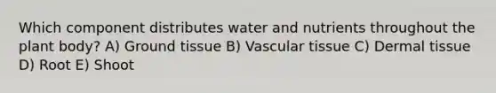 Which component distributes water and nutrients throughout the plant body? A) Ground tissue B) Vascular tissue C) Dermal tissue D) Root E) Shoot