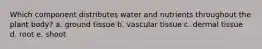 Which component distributes water and nutrients throughout the plant body? a. ​ground tissue b. ​vascular tissue c. ​dermal tissue d. ​root e. ​shoot