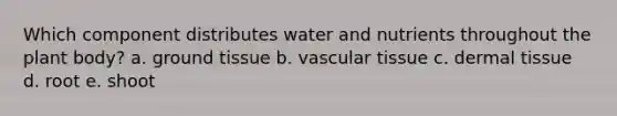 Which component distributes water and nutrients throughout the plant body? a. ​<a href='https://www.questionai.com/knowledge/kb0kKBaH0H-ground-tissue' class='anchor-knowledge'>ground tissue</a> b. ​<a href='https://www.questionai.com/knowledge/k1HVFq17mo-vascular-tissue' class='anchor-knowledge'>vascular tissue</a> c. ​<a href='https://www.questionai.com/knowledge/kRKdINDJId-dermal-tissue' class='anchor-knowledge'>dermal tissue</a> d. ​root e. ​shoot