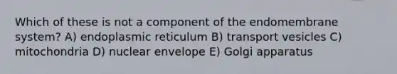 Which of these is not a component of the endomembrane system? A) endoplasmic reticulum B) transport vesicles C) mitochondria D) nuclear envelope E) Golgi apparatus