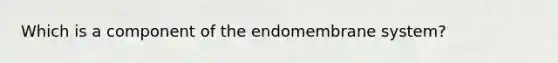 Which is a component of the endomembrane system?