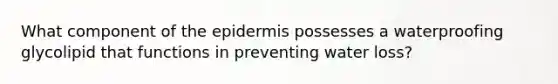 What component of the epidermis possesses a waterproofing glycolipid that functions in preventing water loss?