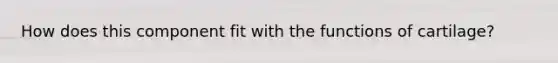 How does this component fit with the functions of cartilage?