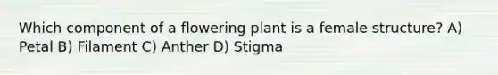 Which component of a flowering plant is a female structure? A) Petal B) Filament C) Anther D) Stigma