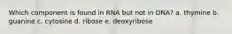 Which component is found in RNA but not in DNA? a. thymine b. guanine c. cytosine d. ribose e. deoxyribose