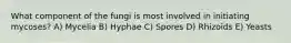 What component of the fungi is most involved in initiating mycoses? A) Mycelia B) Hyphae C) Spores D) Rhizoids E) Yeasts