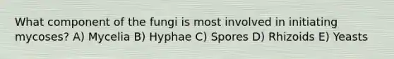 What component of the fungi is most involved in initiating mycoses? A) Mycelia B) Hyphae C) Spores D) Rhizoids E) Yeasts