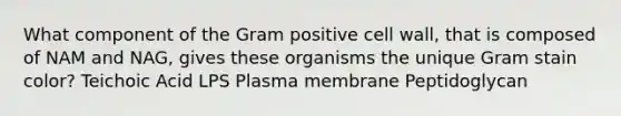 What component of the Gram positive <a href='https://www.questionai.com/knowledge/koIRusoDXG-cell-wall' class='anchor-knowledge'>cell wall</a>, that is composed of NAM and NAG, gives these organisms the unique Gram stain color? Teichoic Acid LPS Plasma membrane Peptidoglycan