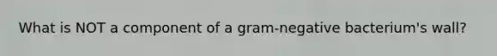 What is NOT a component of a gram-negative bacterium's wall?