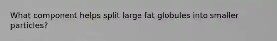 What component helps split large fat globules into smaller particles?