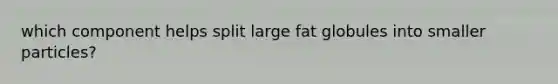 which component helps split large fat globules into smaller particles?