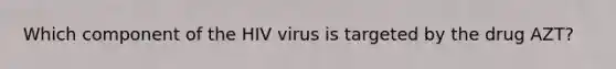 Which component of the HIV virus is targeted by the drug AZT?